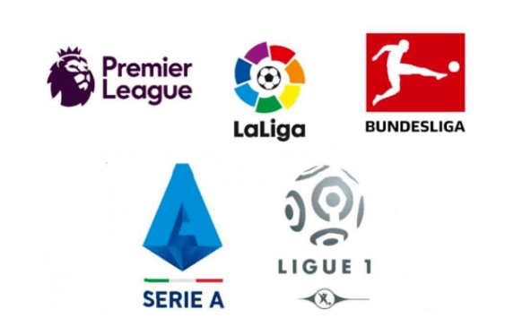 有效激发了 有效激发了